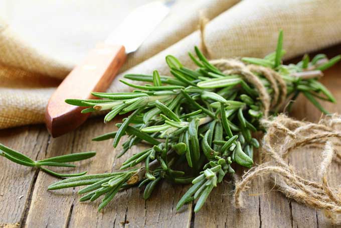 The Rosemary Infusion Recipe (aka simple syrup) for Mocktails and Cocktails